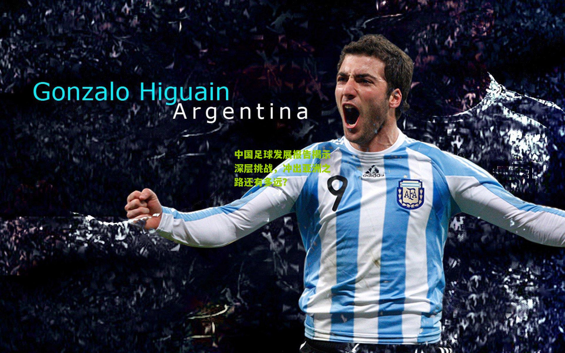 中国足球发展报告揭示深层挑战,冲出亚洲之路还有多远?